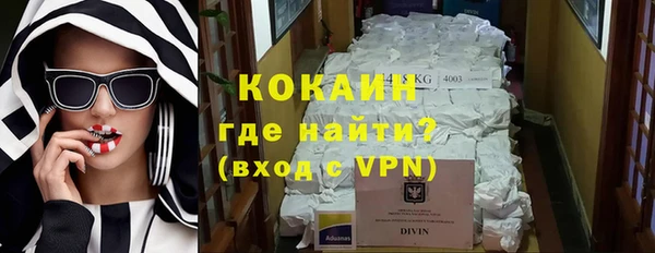 винт Абаза