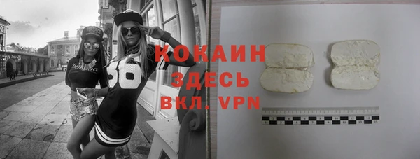 винт Абаза