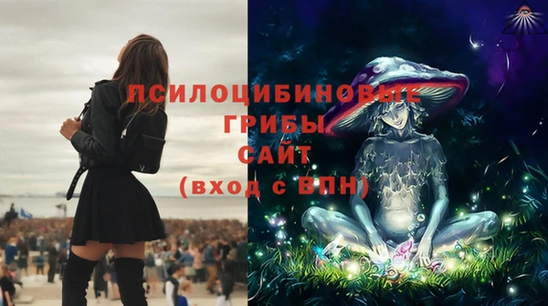 дурь Алексеевка